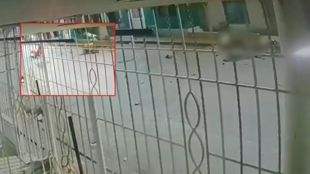 VIDEO: Dos hombres murieron y una mujer quedó grave tras brutal choque