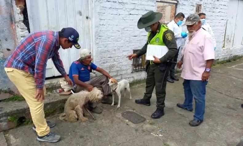 Fiscalía judicializó a hombre señalado de envenenar a 10 perros por el pago del arriendo