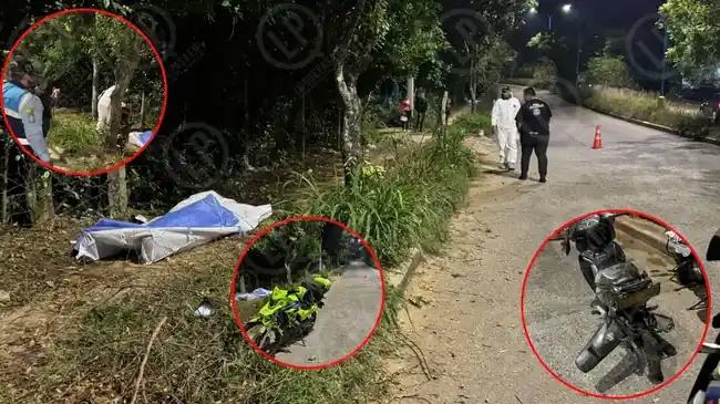 Diego, el motociclista que murió al estrellarse contra un árbol bajando la 45.