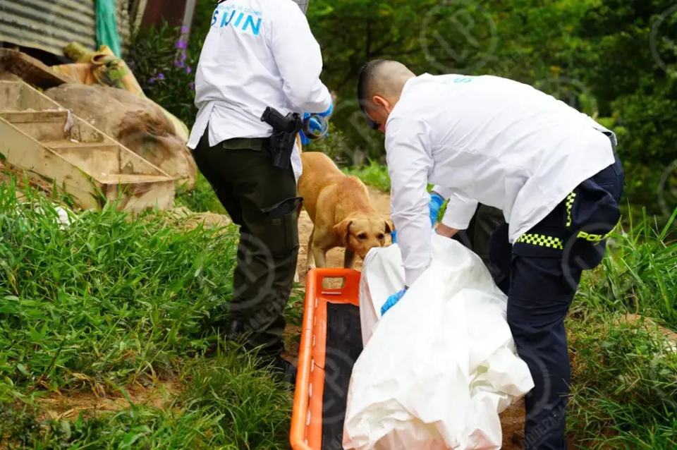 Su mirada lo dice todo: La otra cara del dolor en Floridablanca: el perrito que no quiso dejar solo a su amo