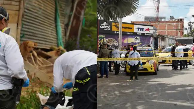 Alarmante: 12 asesinatos en una semana en el área metropolitana