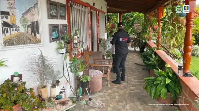 Hombre que mutiló a un gatito en Santander fue enviado a la cárcel - imagen 4