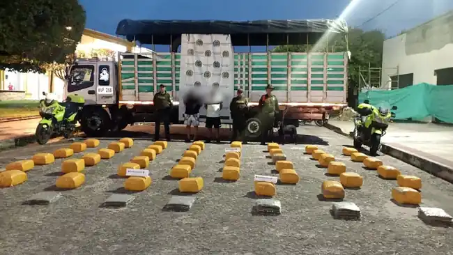 Cargamento de plátano fue descubierto con  245.200 gramos de estupefaciente. - imagen 4