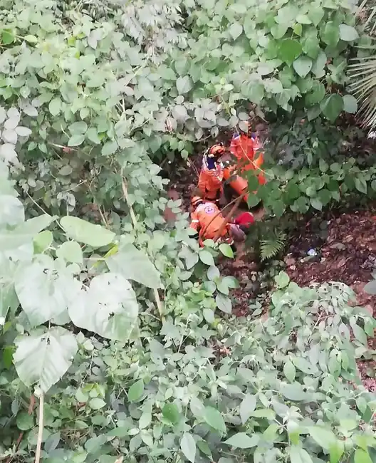 Rescatan de una quebrada en Piedecuesta a una abuelita reportada como desaparecida. - imagen 3