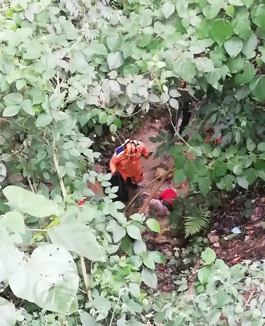 Rescatan de una quebrada en Piedecuesta a una abuelita reportada como desaparecida. - imagen 2