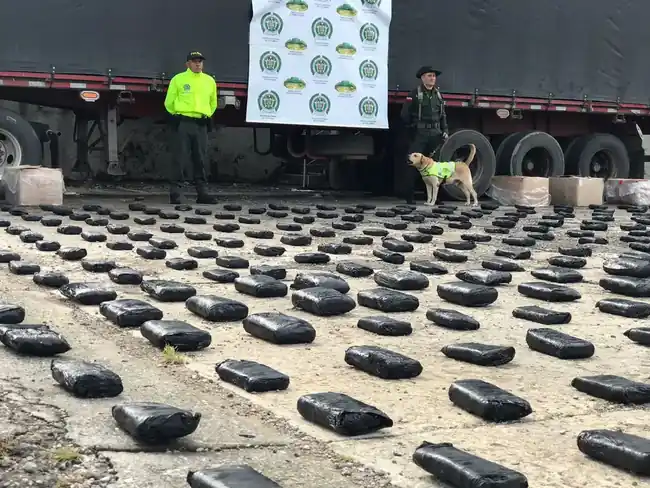 La DEA incautó una tonelada de marihuana en Bucaramanga - imagen 2