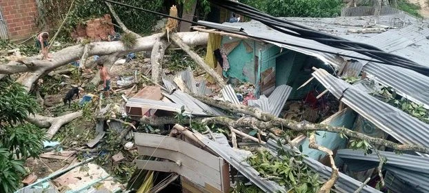 Caída de árbol dejo dos personas heridas en Asomiflor