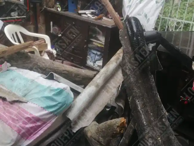 A una mujer le cayó un cedro en la cama mientras dormía en Bucaramanga. - imagen 2