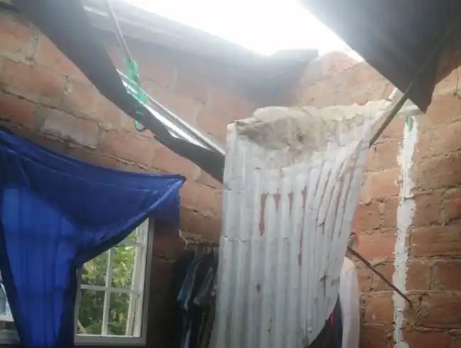 A una mujer le cayó un cedro en la cama mientras dormía en Bucaramanga. - imagen 3