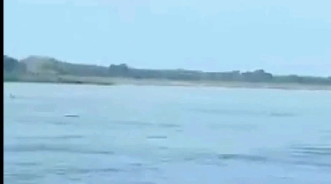 Video: Así fue el momento en el que unas personas cayeron al río Magdalena