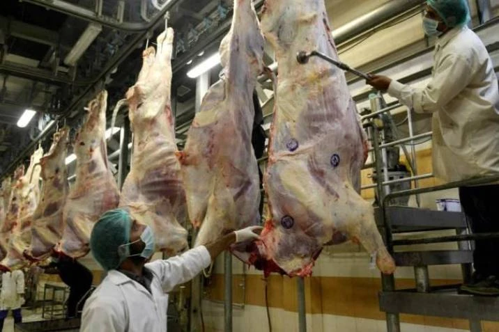 Plantas de beneficio animal en Santander podrían funcionar nuevamente