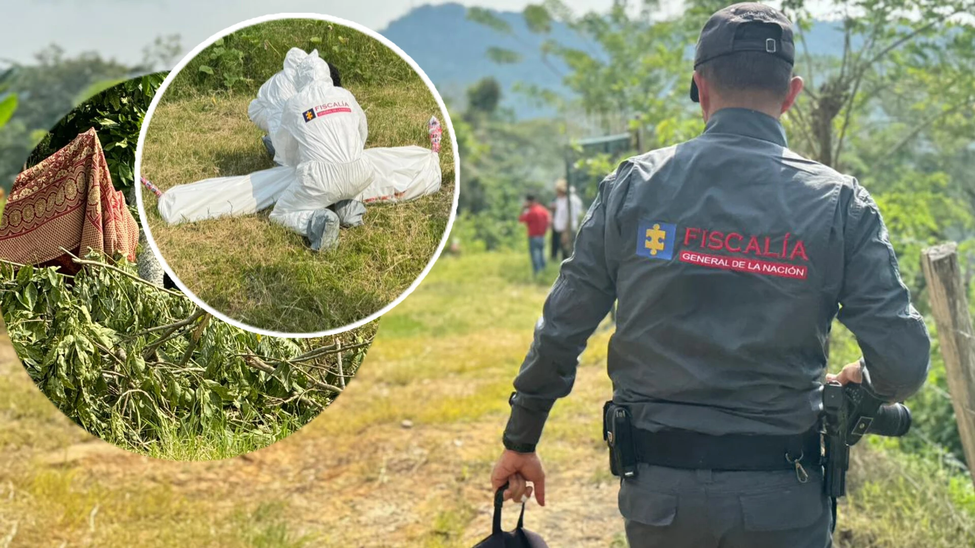 Murió un hombre cuando un árbol talado le cayó encima en Lebrija