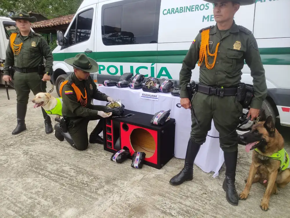 Policía descubrió caleta con 14.200 gramos de estupefacientes en un narco - parlante en Bucaramanga - imagen 3