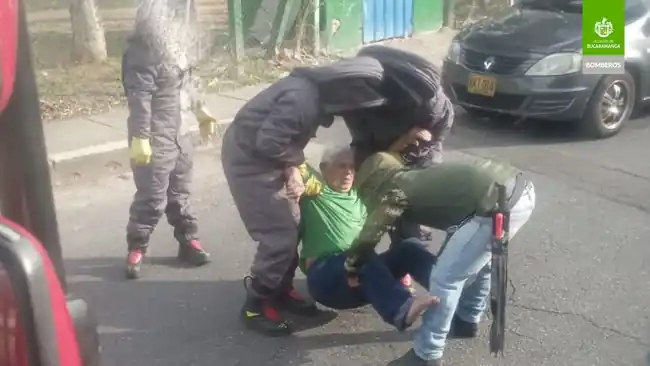 Enjambre de abejas desató el pánico en el barrio Manzanares, un hombre de la tercera edad fue atacado. - imagen 2