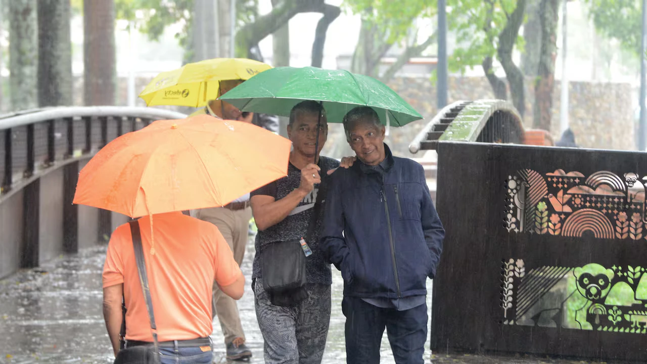 Después de mucho tiempo de sequía vuelve a llover en Cali - imagen 3