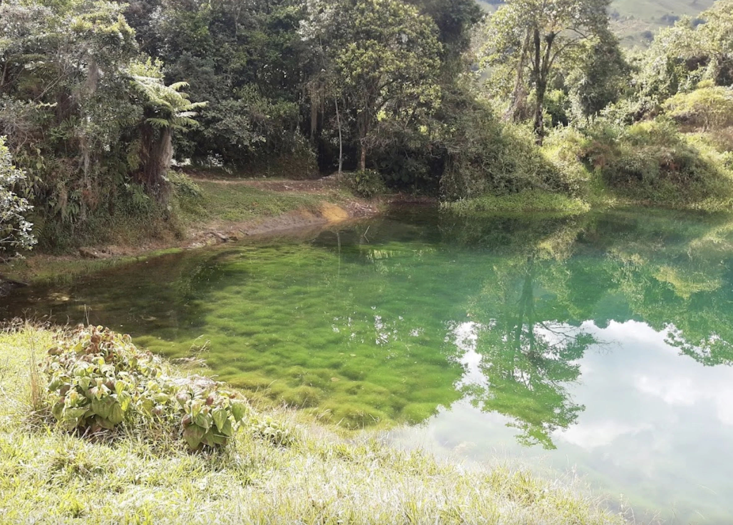 Esto es Santander. Sumérgete en la Belleza de la Laguna Azul: Un Tesoro Escondido en Cincelada - imagen 5