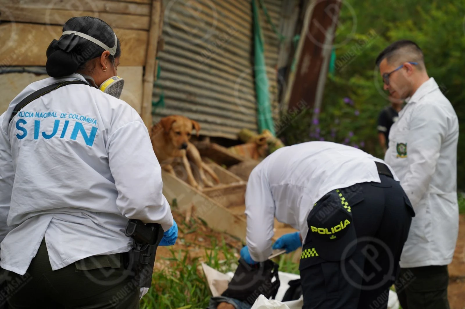 Su mirada lo dice todo: La otra cara del dolor en Floridablanca: el perrito que no quiso dejar solo a su amo - imagen 2