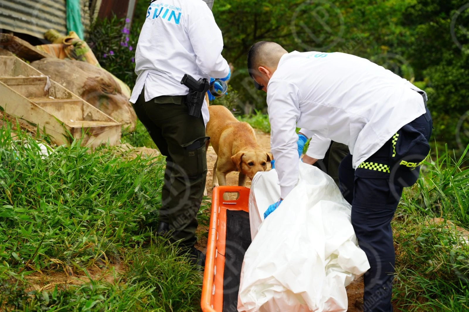 Su mirada lo dice todo: La otra cara del dolor en Floridablanca: el perrito que no quiso dejar solo a su amo
