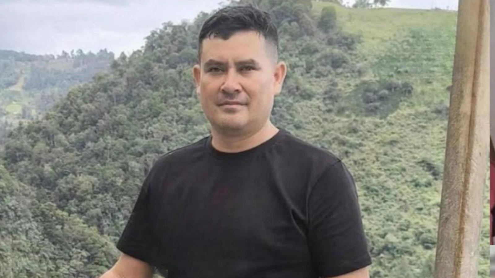Árbol que estaba siendo talado cayó de forma repentina y dejó una víctima fatal.