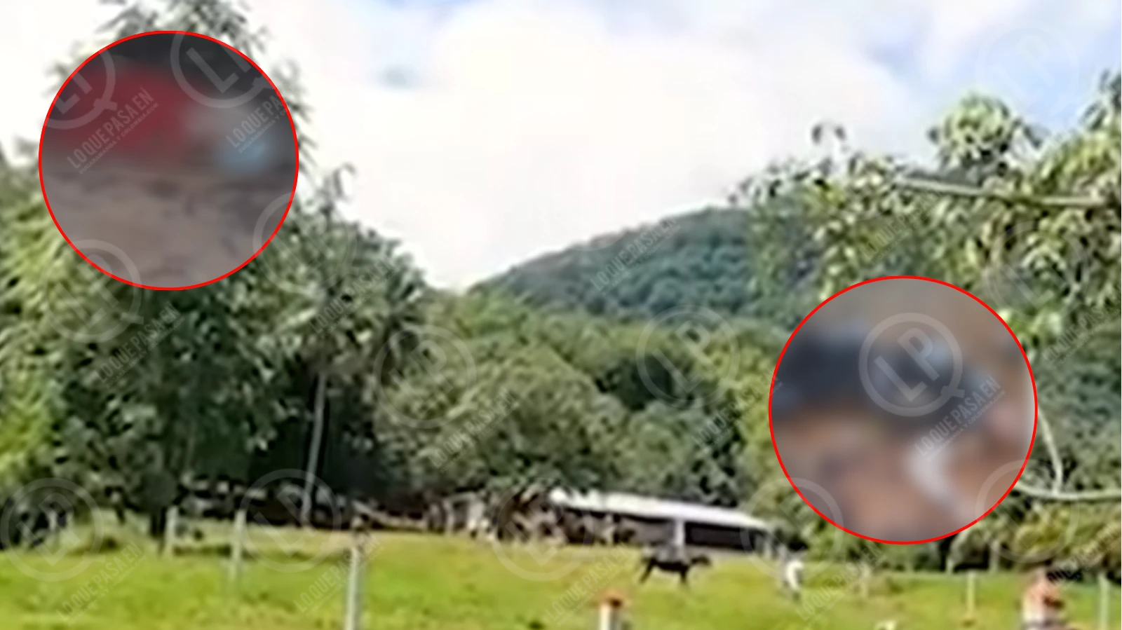 VIDEO: Doble homicidio en zona rural de Santander genera incertidumbre, Autoridades investigan.