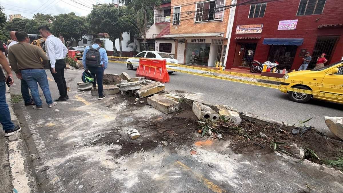 Ciclorruta segregada junto a una avenida - imagen 2