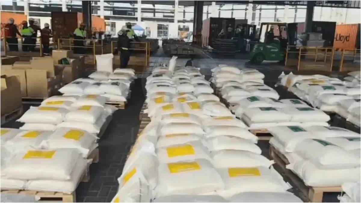 Millonario cargamento de cocaína fue descubierto antes de salir de Colombia: esto encontraron