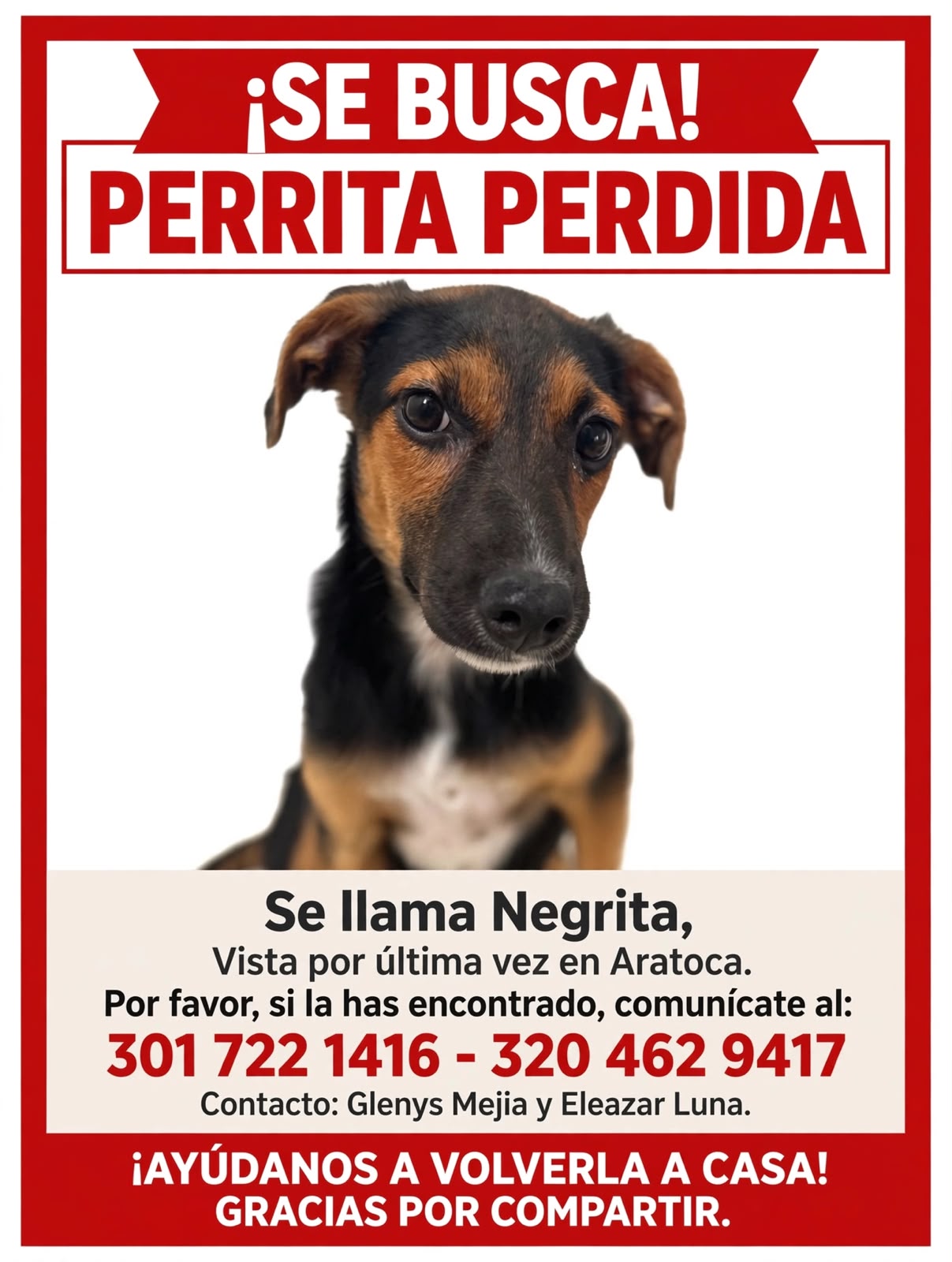 Se busca esta  mascota