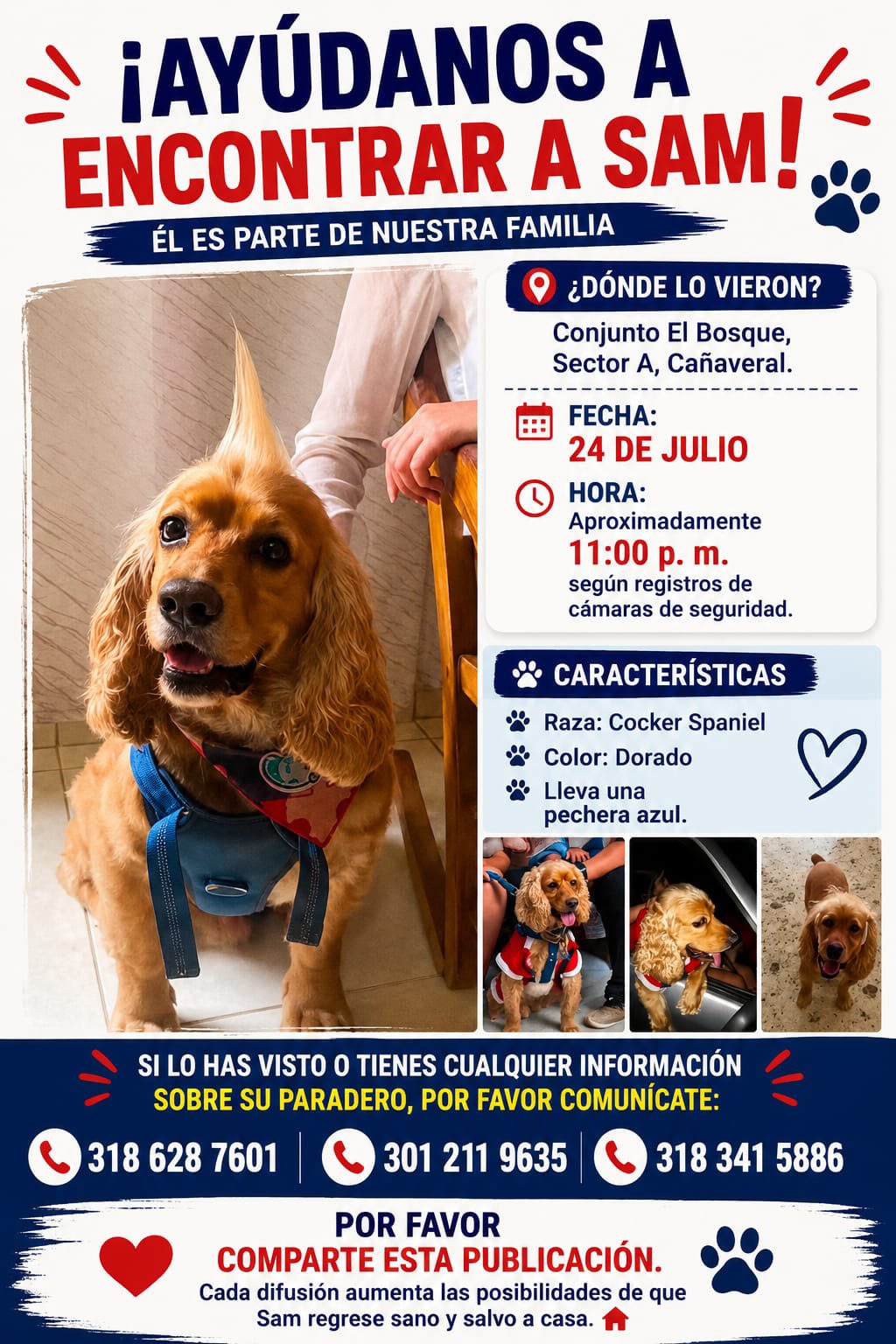 PERRO PERDIDO