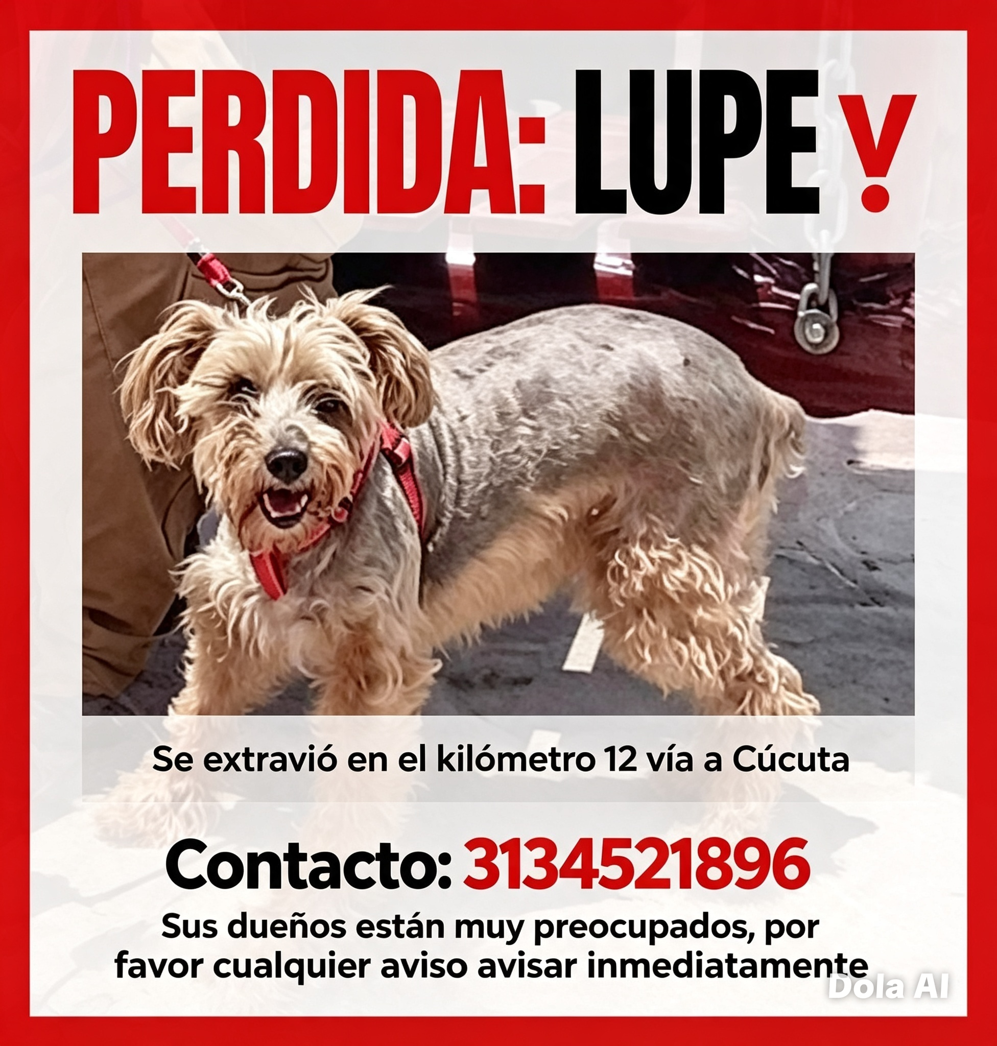Se busca esta perrita su nombre es lupe