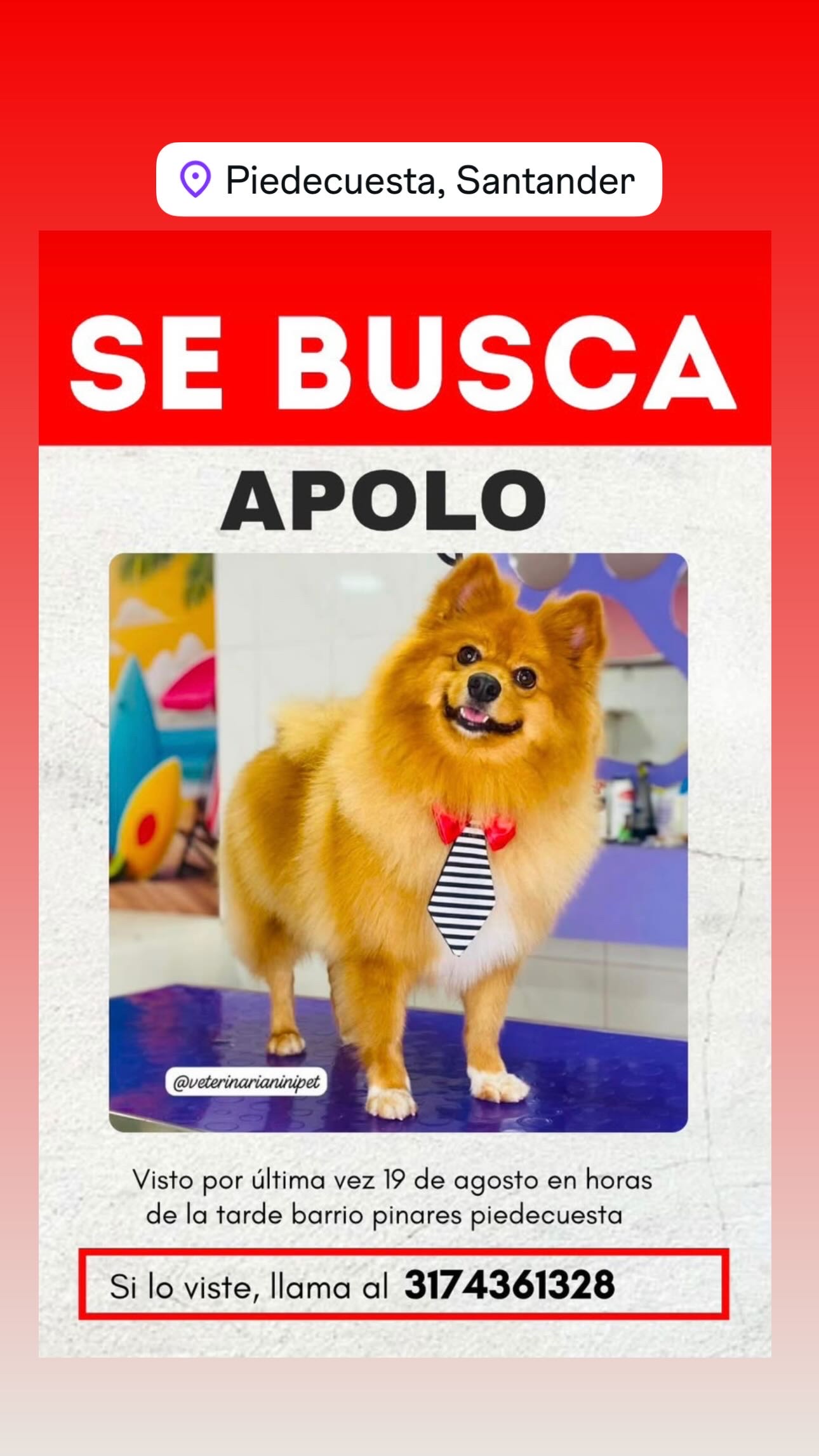 Ayúdanos a buscar a apolo