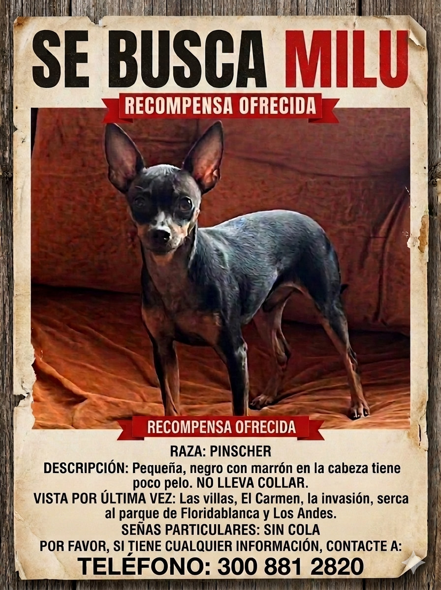 Busco perrita pincher MILU